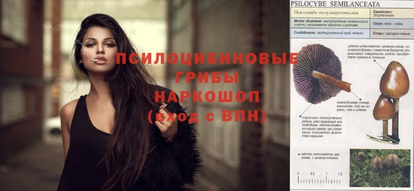 мескалин Каменка