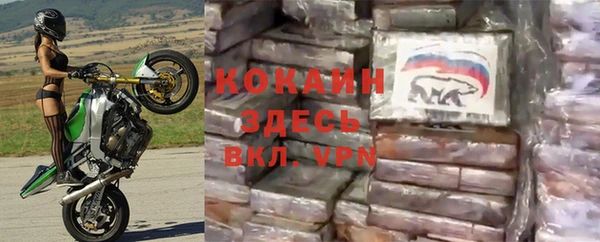 гидропоника Каменногорск