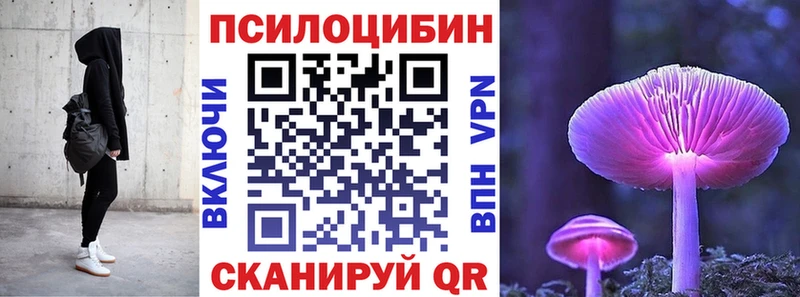 Псилоцибиновые грибы мицелий  Купить закладки  Бугульма 
